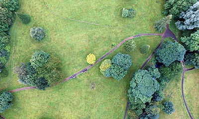 Overhead view of a nature trail.